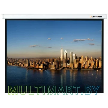 Проекционный экран Lumien Master Picture 220x220 (LMP-100129)